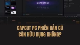 Giao diện phần mềm CapCut PC trên máy tính, minh họa cho bài viết về việc người dùng tìm kiếm CapCut PC phiên bản cũ do thay đổi chính sách Pro.