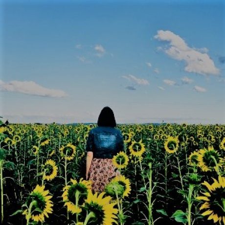 Ảnh hồ sơ của Trịnh Thị Mai